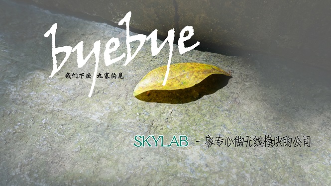 SKYLAB，一家做无线模块的公司